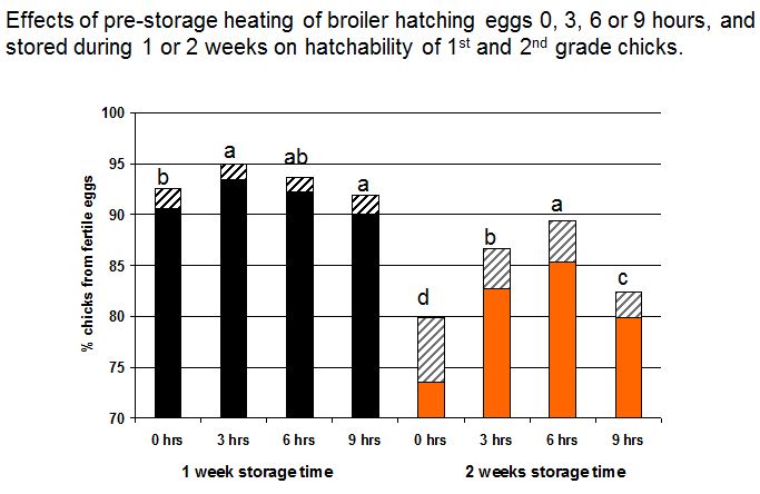 prestorage1