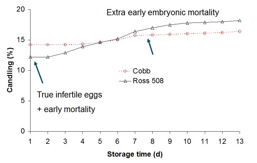 Egg Hatching Temperature Chart